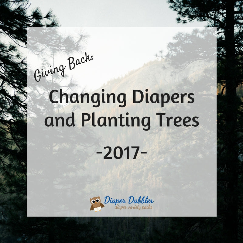 Giving Back: Changing Diapers and Planting Trees 2017