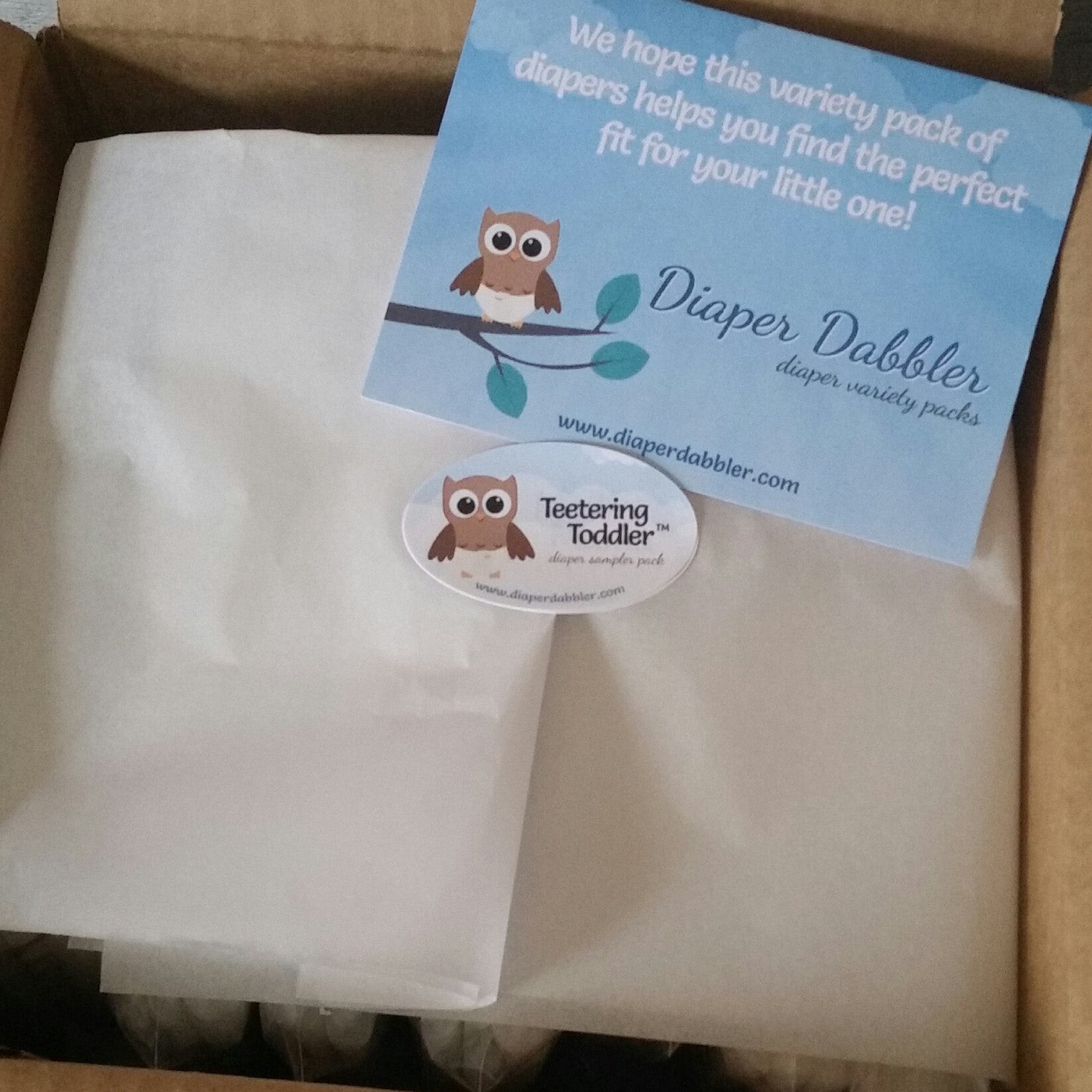 Teetering Toddler Diaper Variety Pack - Diaper Dabbler